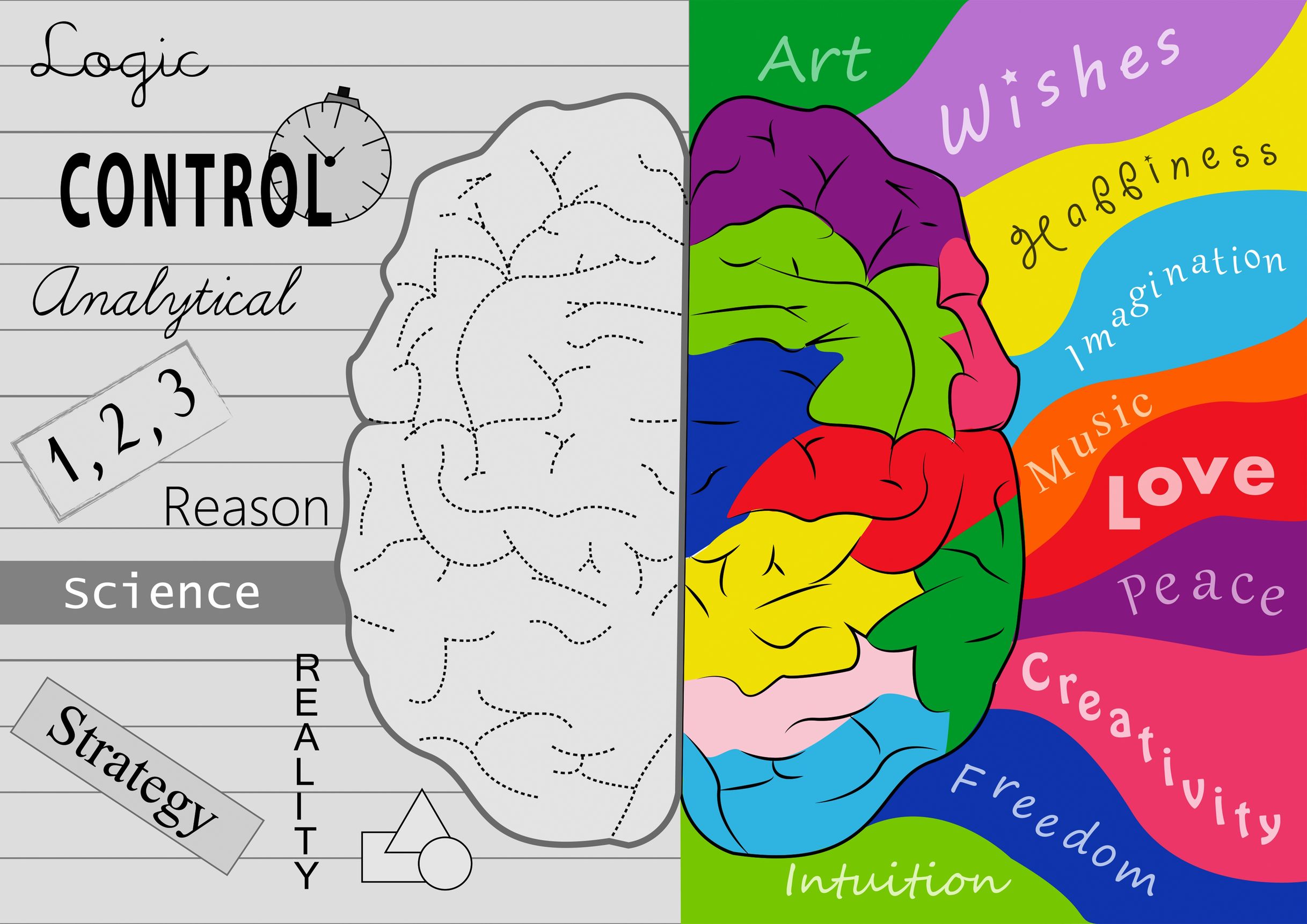 Which Side Of Your Brain ALOHA Mind Math
